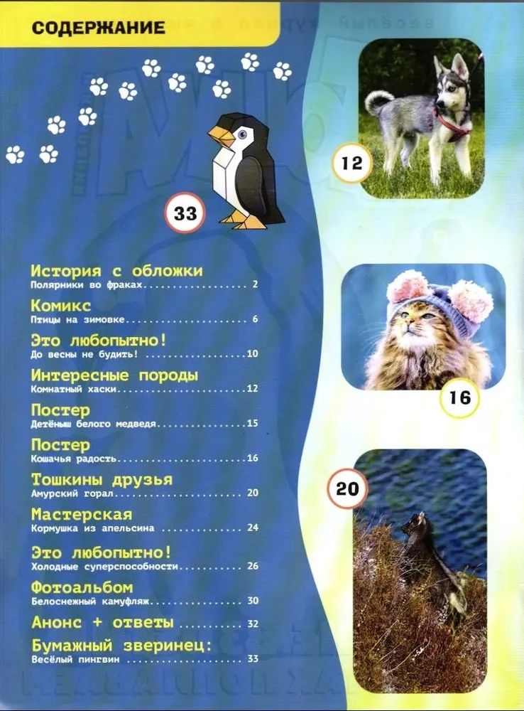 Набор детских журналов ИД Лев Тошка 1/26 и 2/26 - фото 5