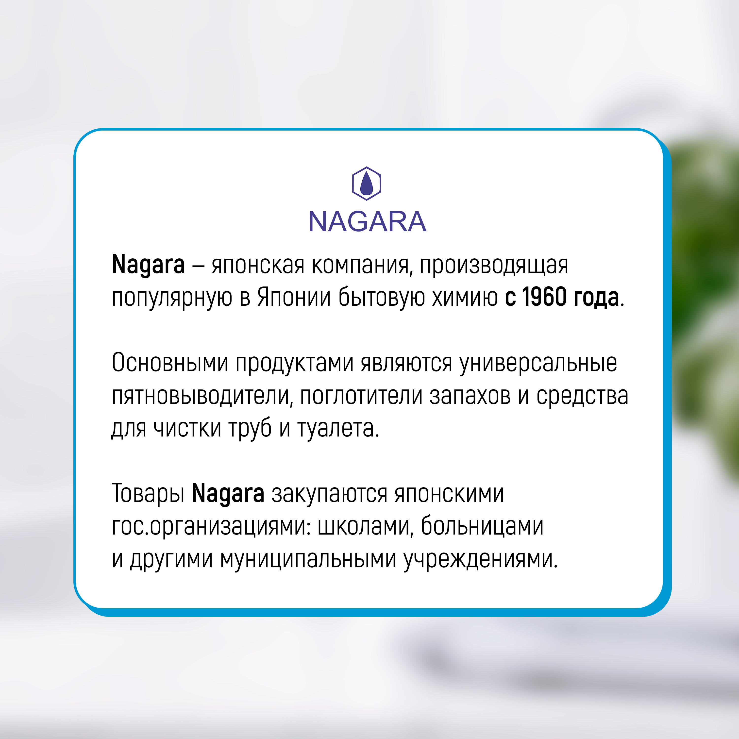 Средство NAGARA Для очистки туалета 500 мл - фото 5
