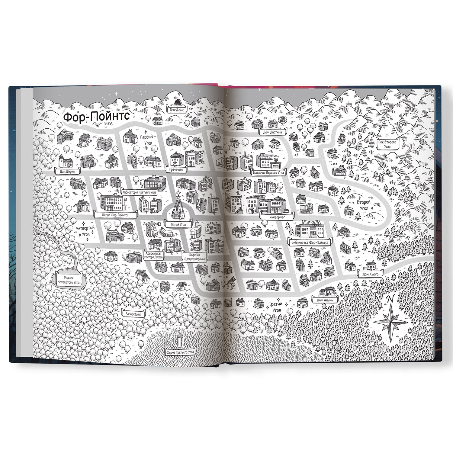 Книга Феникс Квинтэссенция. Книга для подростков - фото 4