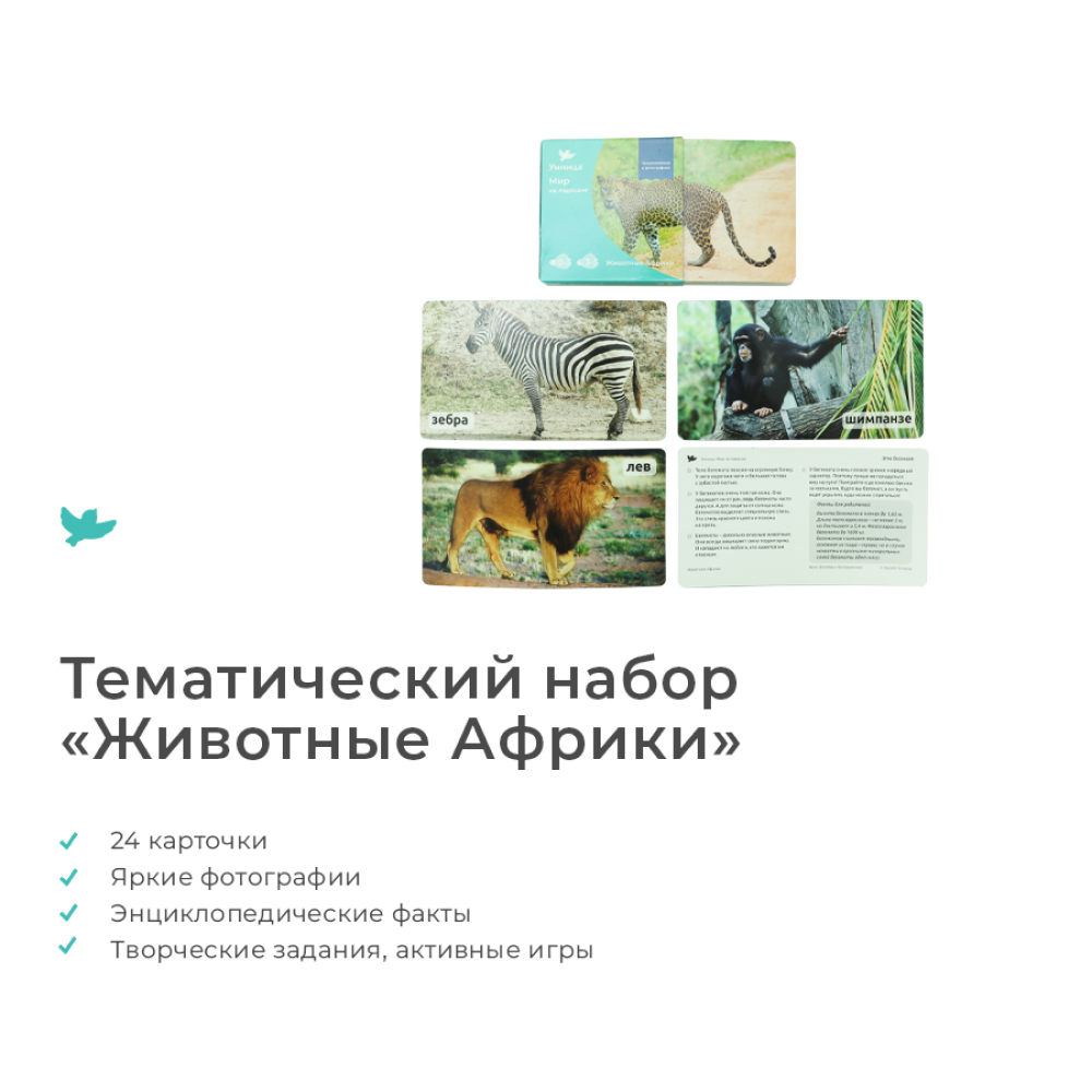 Развивающие игры Умница Мир на ладошке Жираф. Детская энциклопедия - фото 2