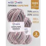 Пряжа для вязания носочная Astra Premium 100г 400м 2шт