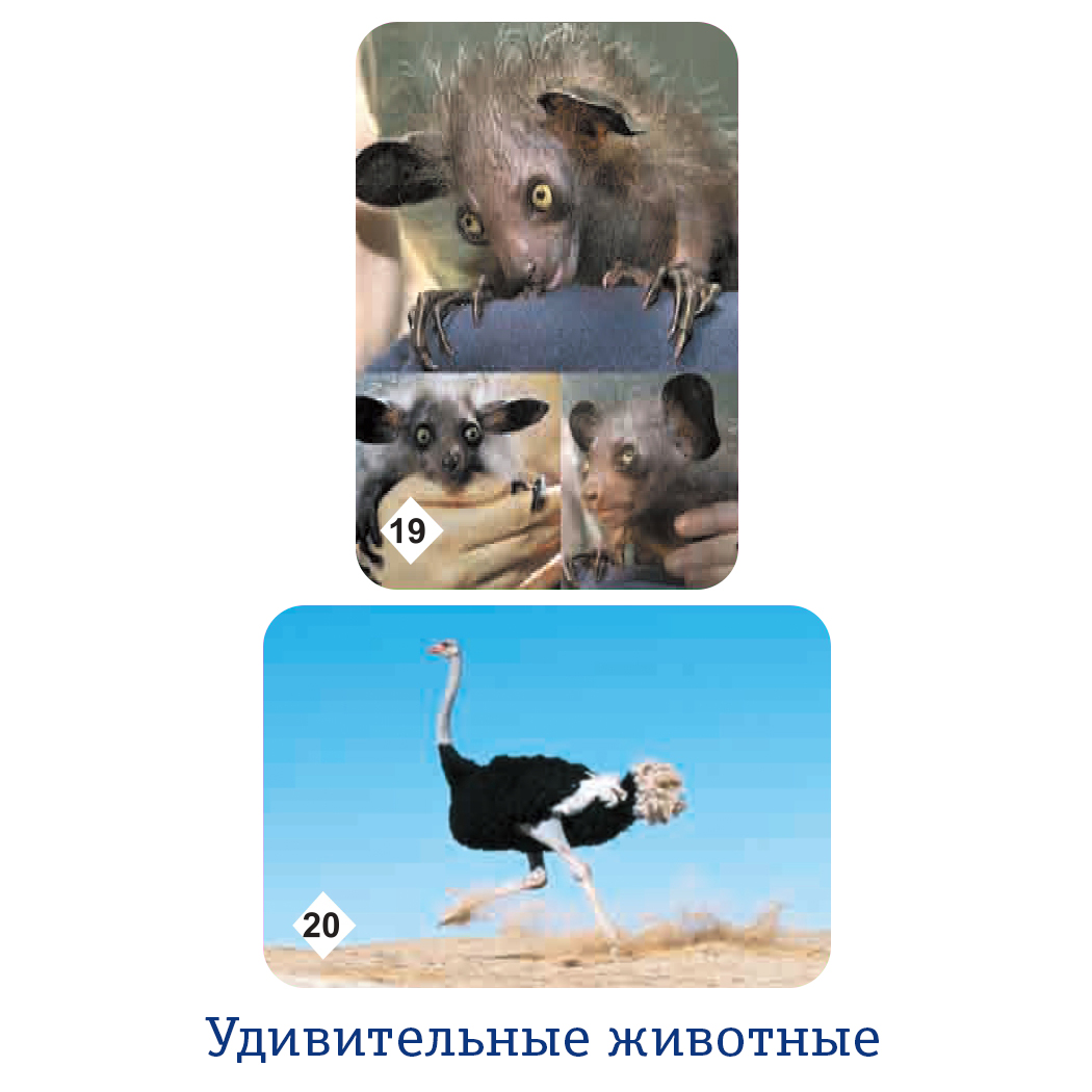 Настольная игра Нескучные игры Мемо - фото 13