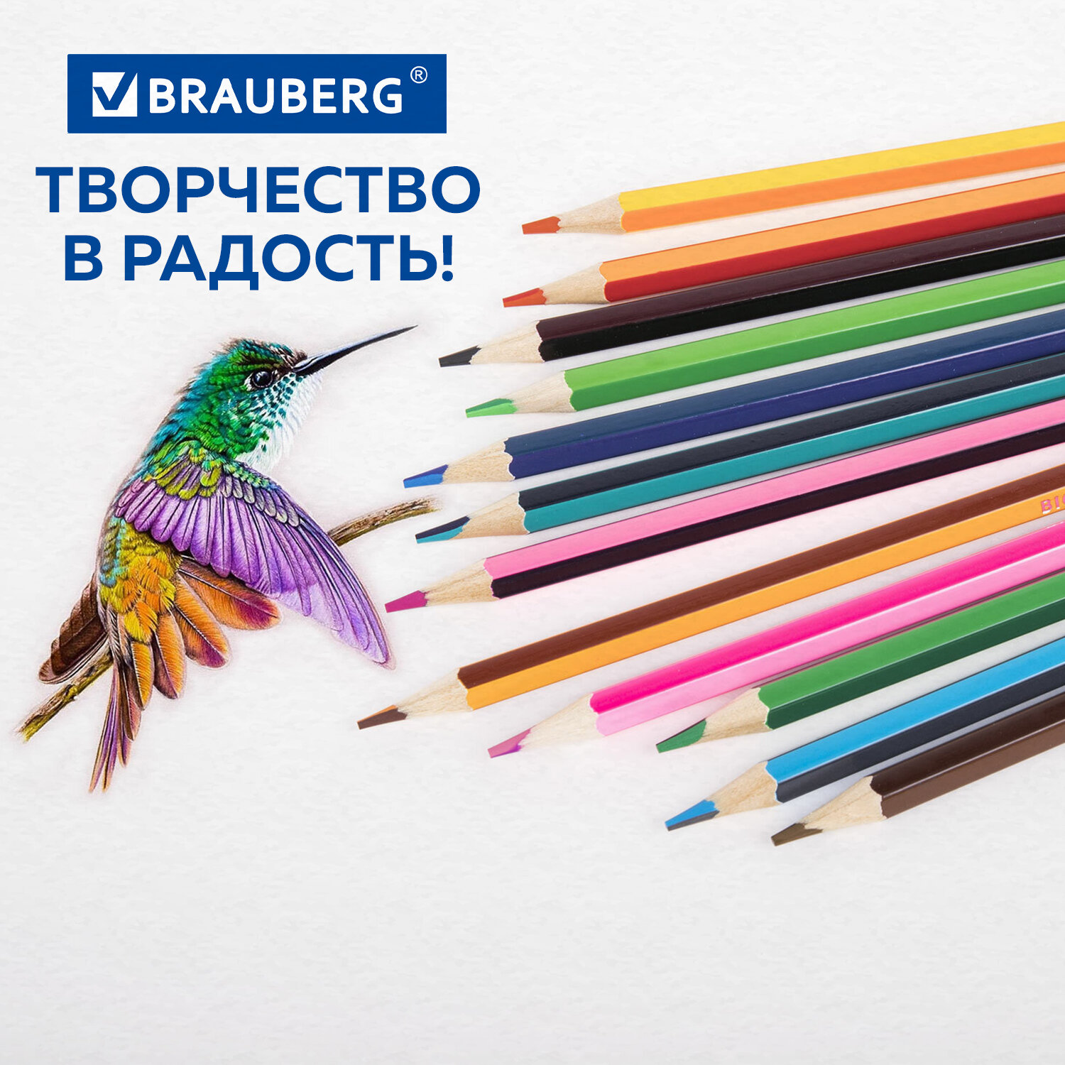 Карандаши цветные Brauberg 24 шт. - фото 14