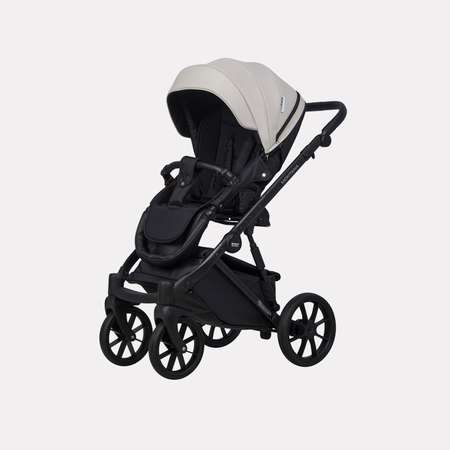 Коляска 2в1 Riko Basic Montana Ecco черный