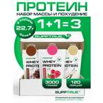 Спортивное питание SUPPTRUE Whey protein