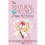 Настольная игра US Games Systems