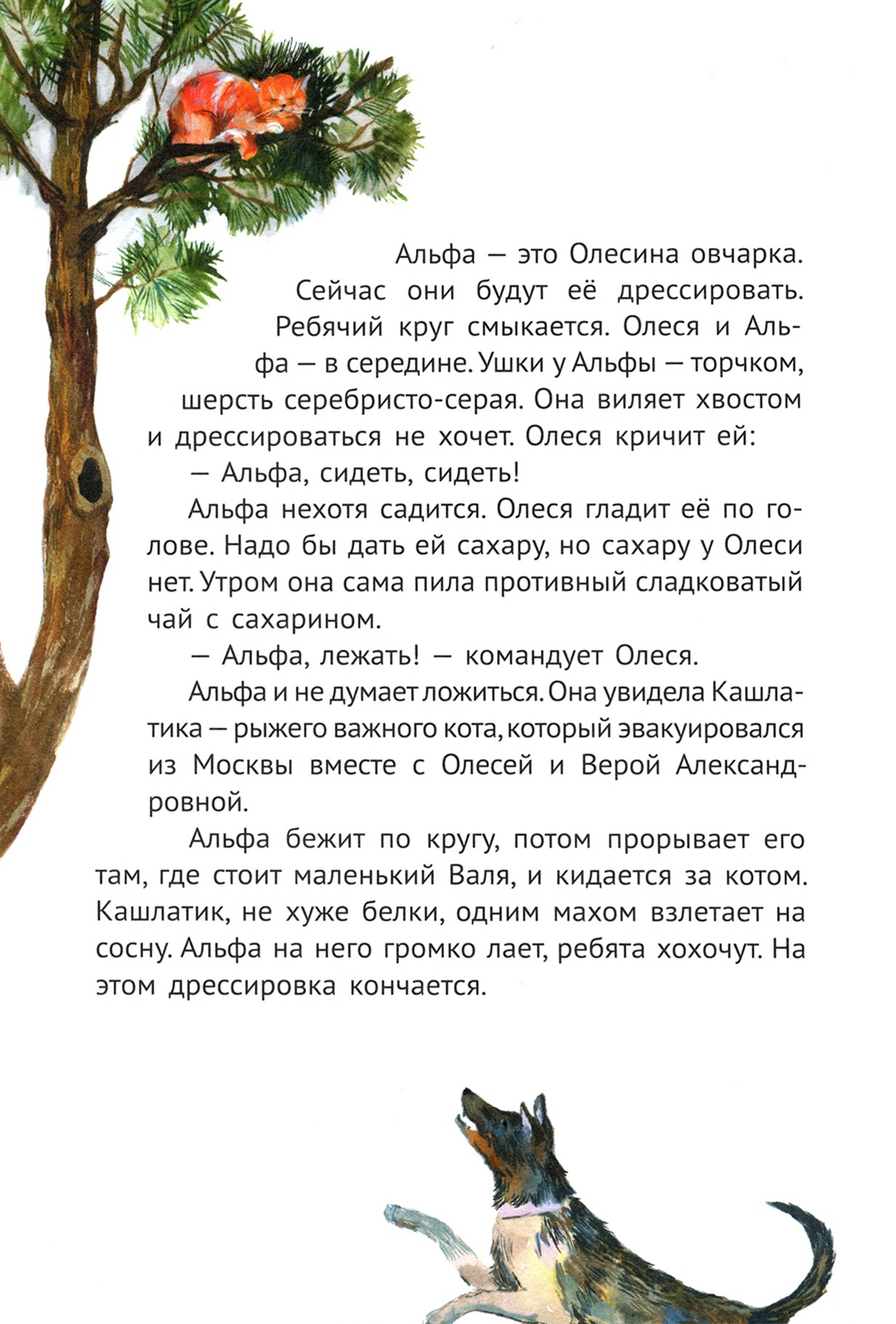 Книга Качели Сосны шумят - фото 8
