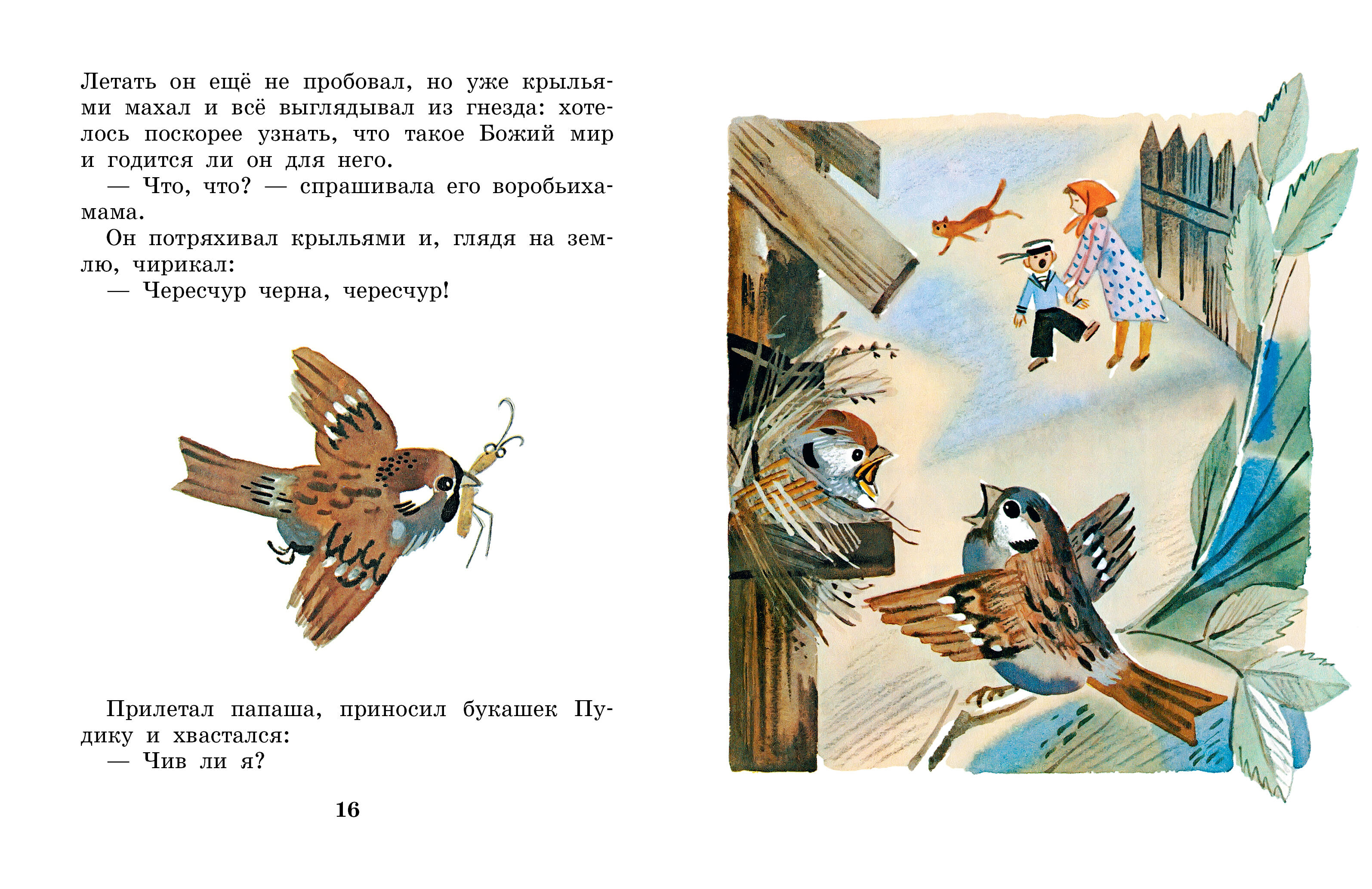 Книга АСТ Случай с Евсейкой - фото 5