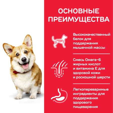 Корм для собак HILLS 6кг Science Plan для мелких пород с курицей