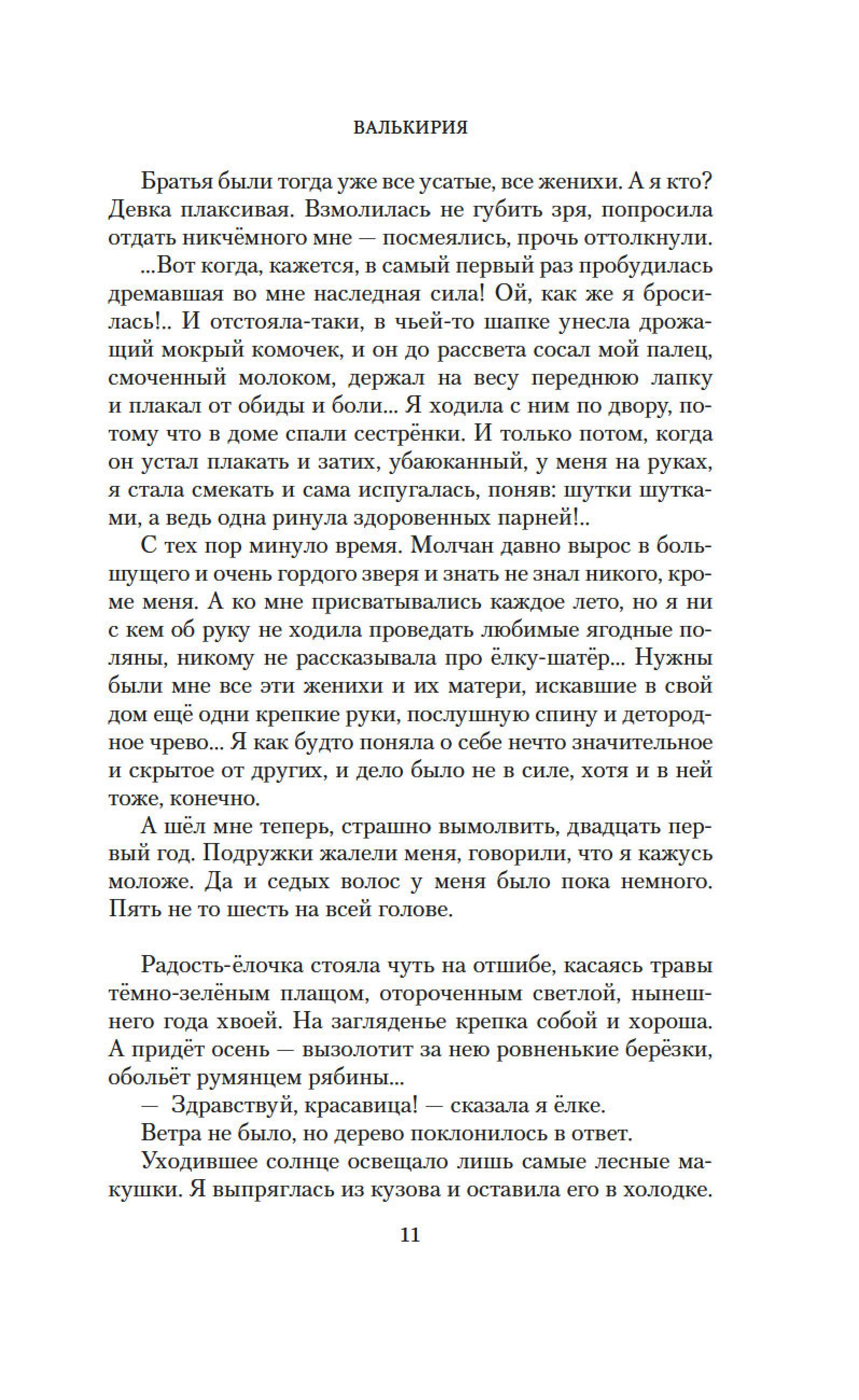 Книга АЗБУКА Валькирия. Тот, кого я всегда жду - фото 13