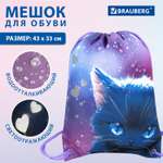 Мешок для обуви Brauberg