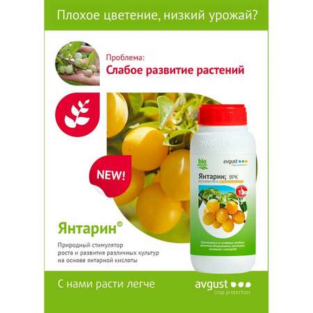 Стимулятор роста и питания AVGUST Янтарин 500мл