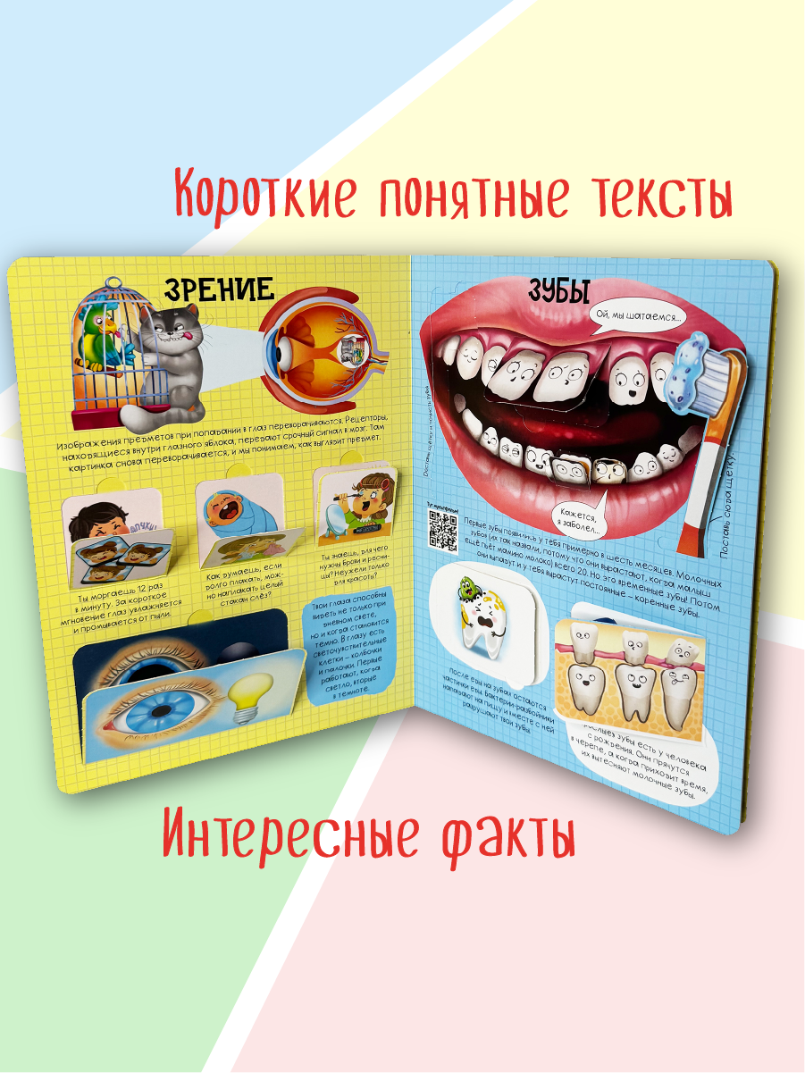 Энциклопедия с окошками БимБиМон книга детская - фото 4