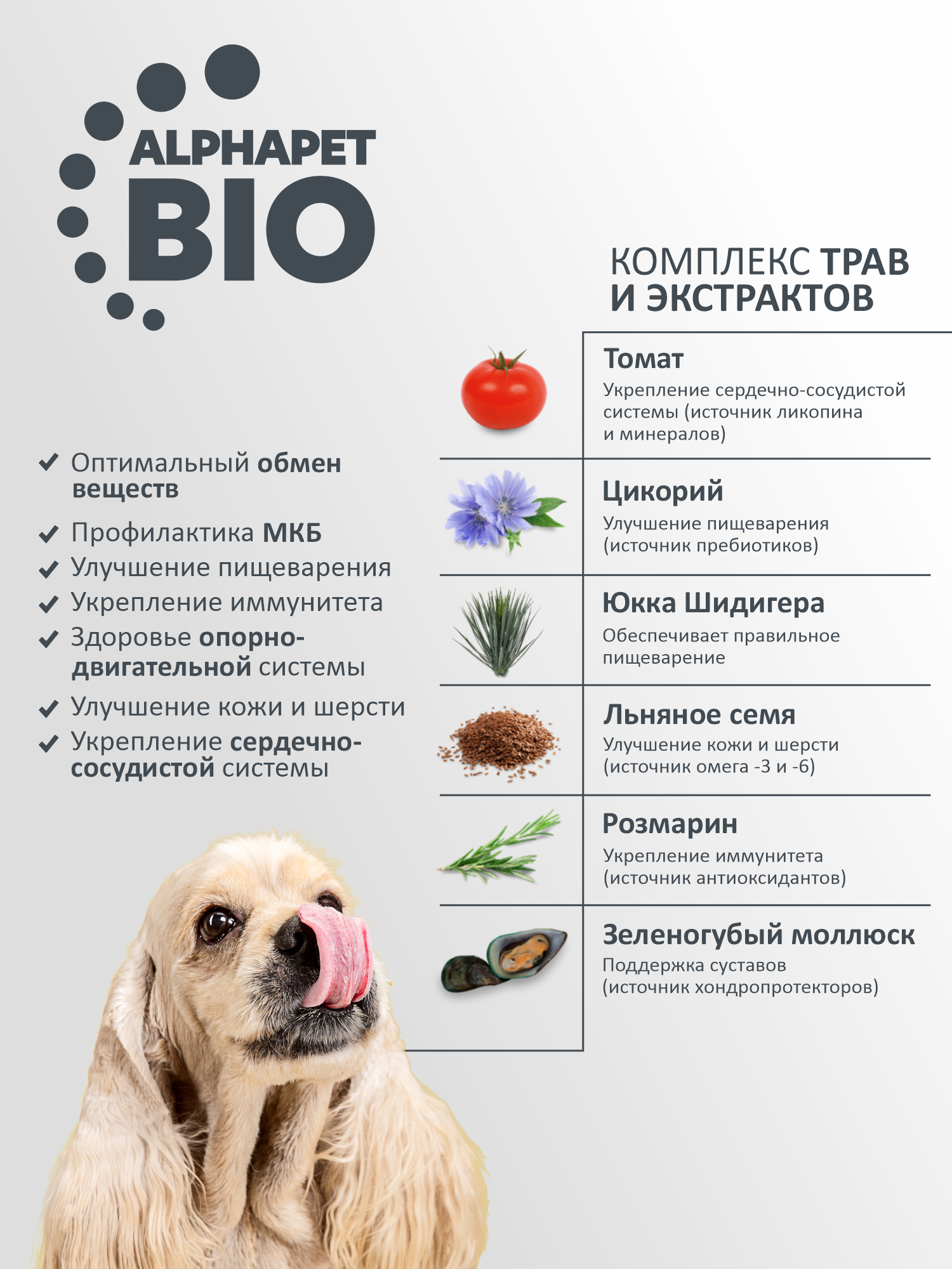 Сухой полнорационный корм AlphaPet с индейкой и рисом для взрослых собак мелких пород AlphaPet Superpremium 1,5 кг - фото 6