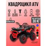 Квадроцикл TOYLAND ХМХ651 С пультом ДУ