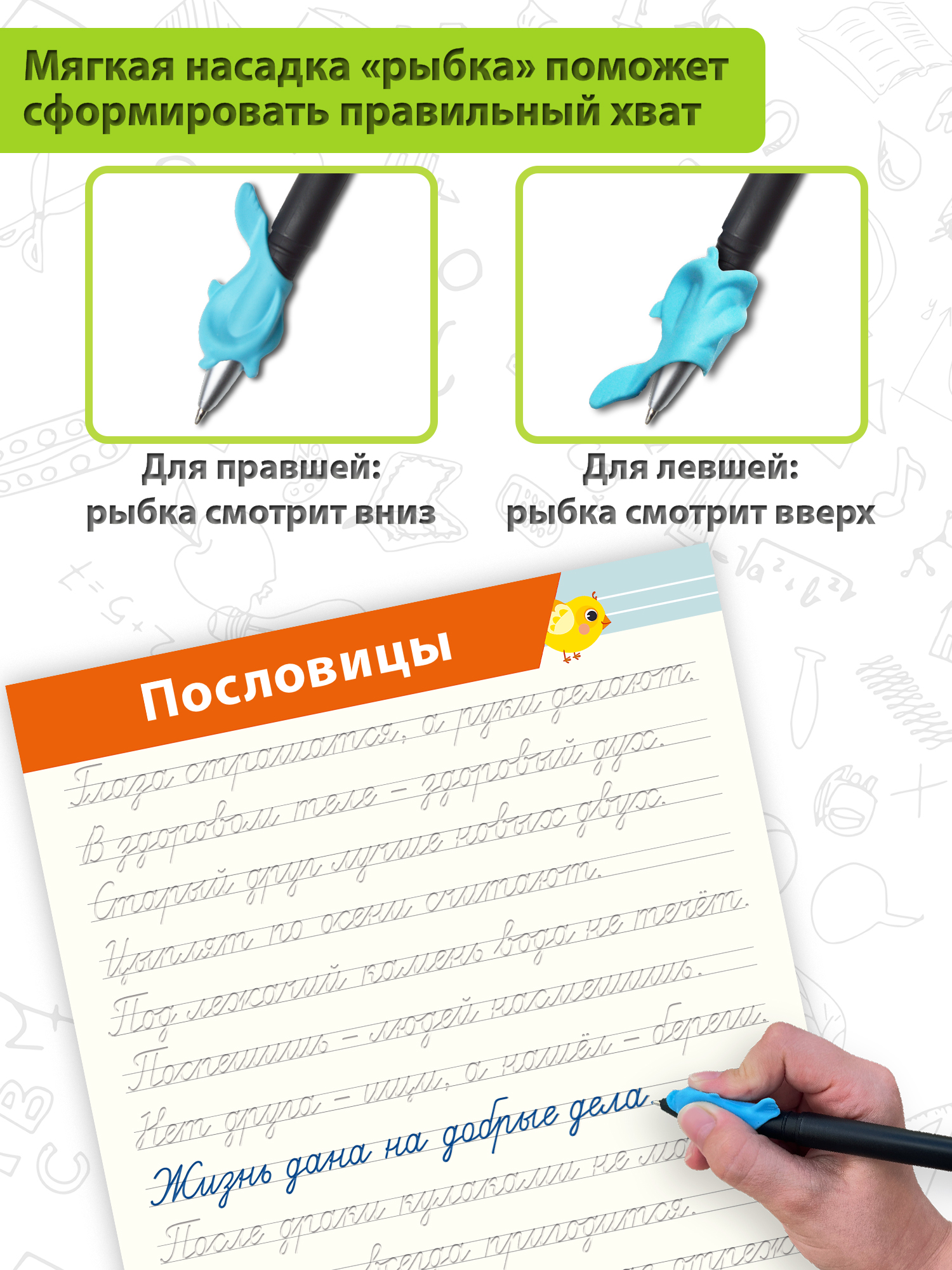 Многоразовые 3D-прописи Дрофа-Медиа Дрофа-Медиа Соединения букв. Слова. Предложения 4419 - фото 3