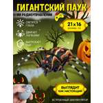Паук РУ AUTODRIVE