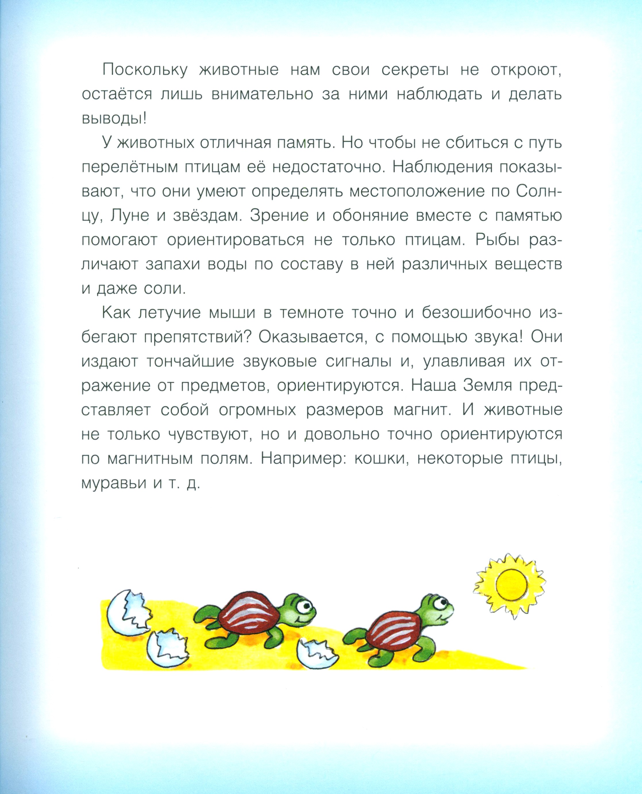 Книга Качели Где у птицы компас. Почемучкины вопросы - фото 5