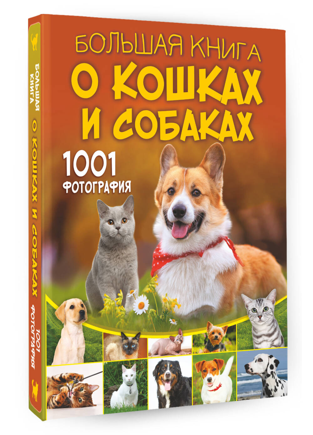 Книга АСТ Большая книга о кошках и собаках 1001 фотография - фото 2