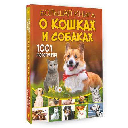 Книга АСТ Большая книга о кошках и собаках 1001 фотография
