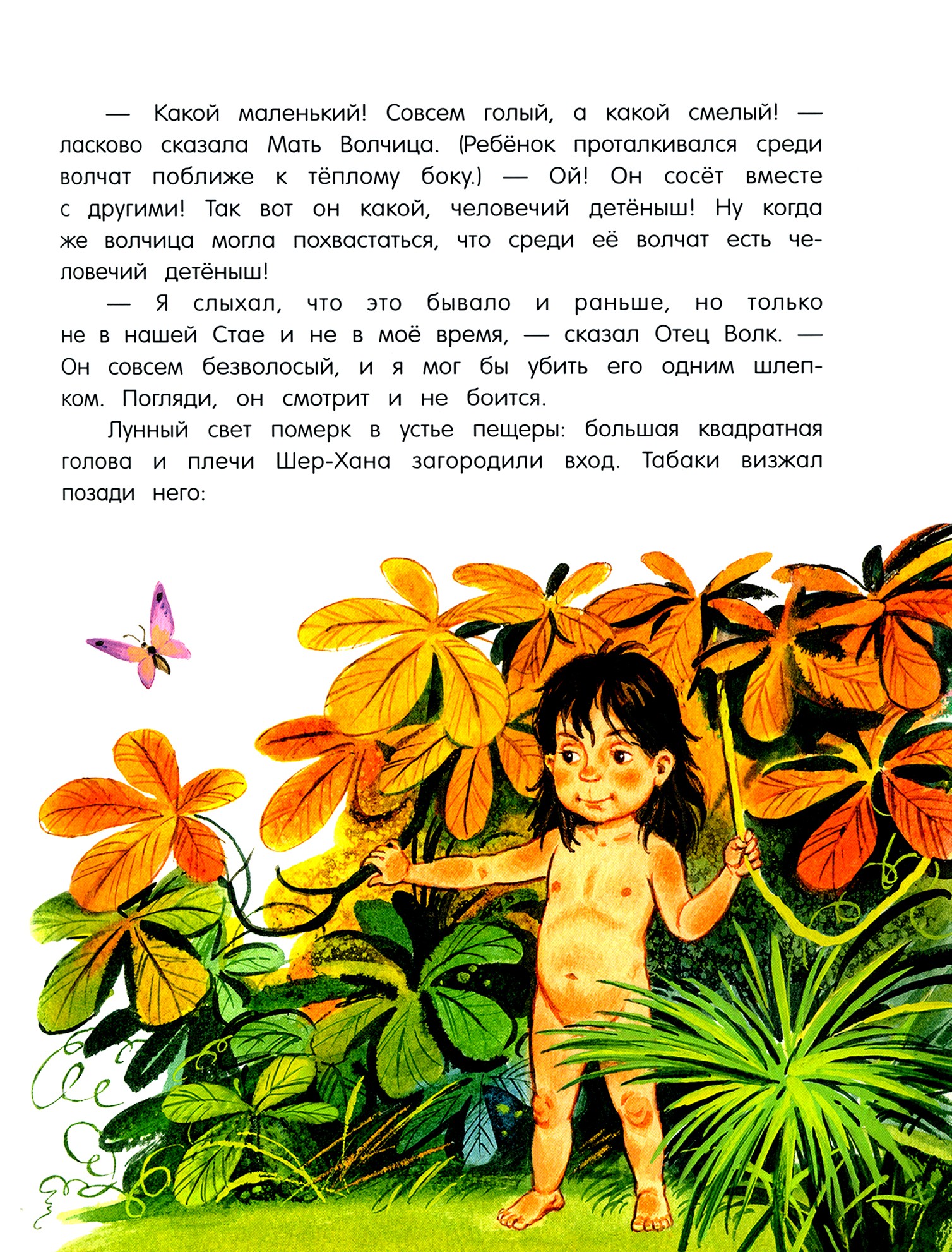 Книга Лабиринт Маугли - фото 10