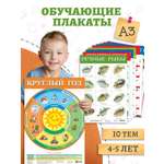Набор обучающих плакатов Дрофа-Медиа Возраст 4-5 лет 10 видов 3961
