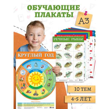 Набор обучающих плакатов Дрофа-Медиа Возраст 4-5 лет 10 видов 3961