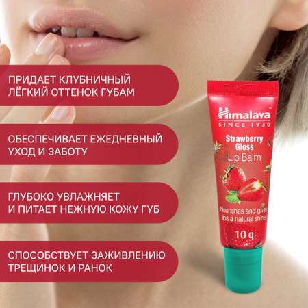 Гигиеническая помада Himalaya 2 шт.