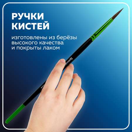 Кисть Brauberg 5 шт. (пони)