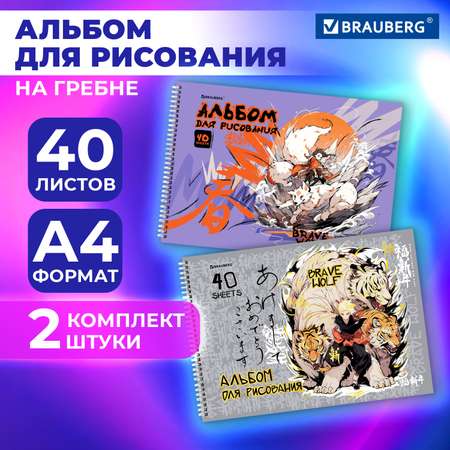 Альбом Brauberg А4 40 лист. 2 шт.