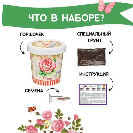 Набор для выращивания Rostok Visa
