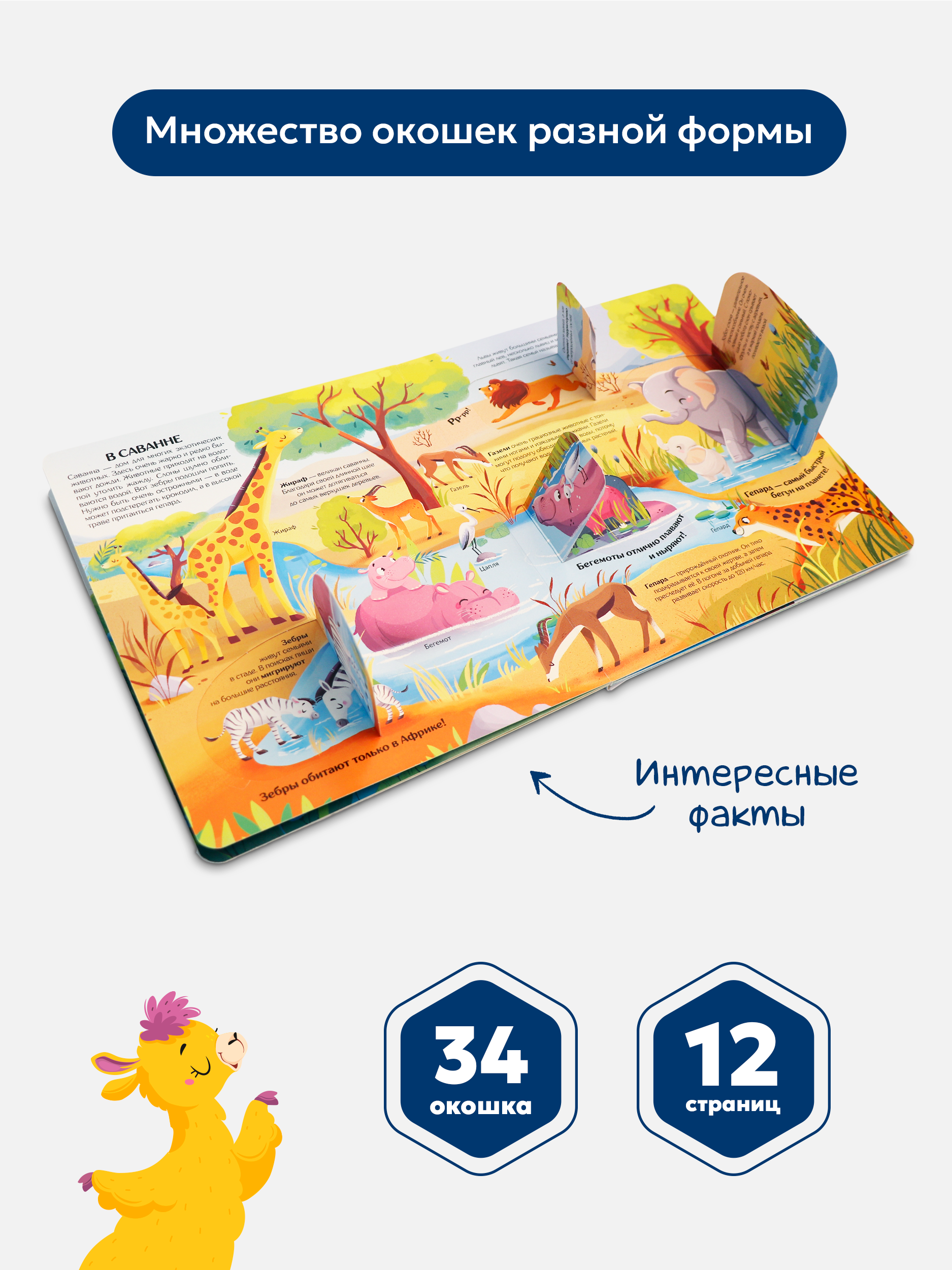 Книжка с окошками Мир Животных Malamalama Детская энциклопедия - фото 2