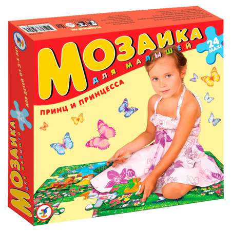Напольная мозаика Дрофа-Медиа Принц и принцесса