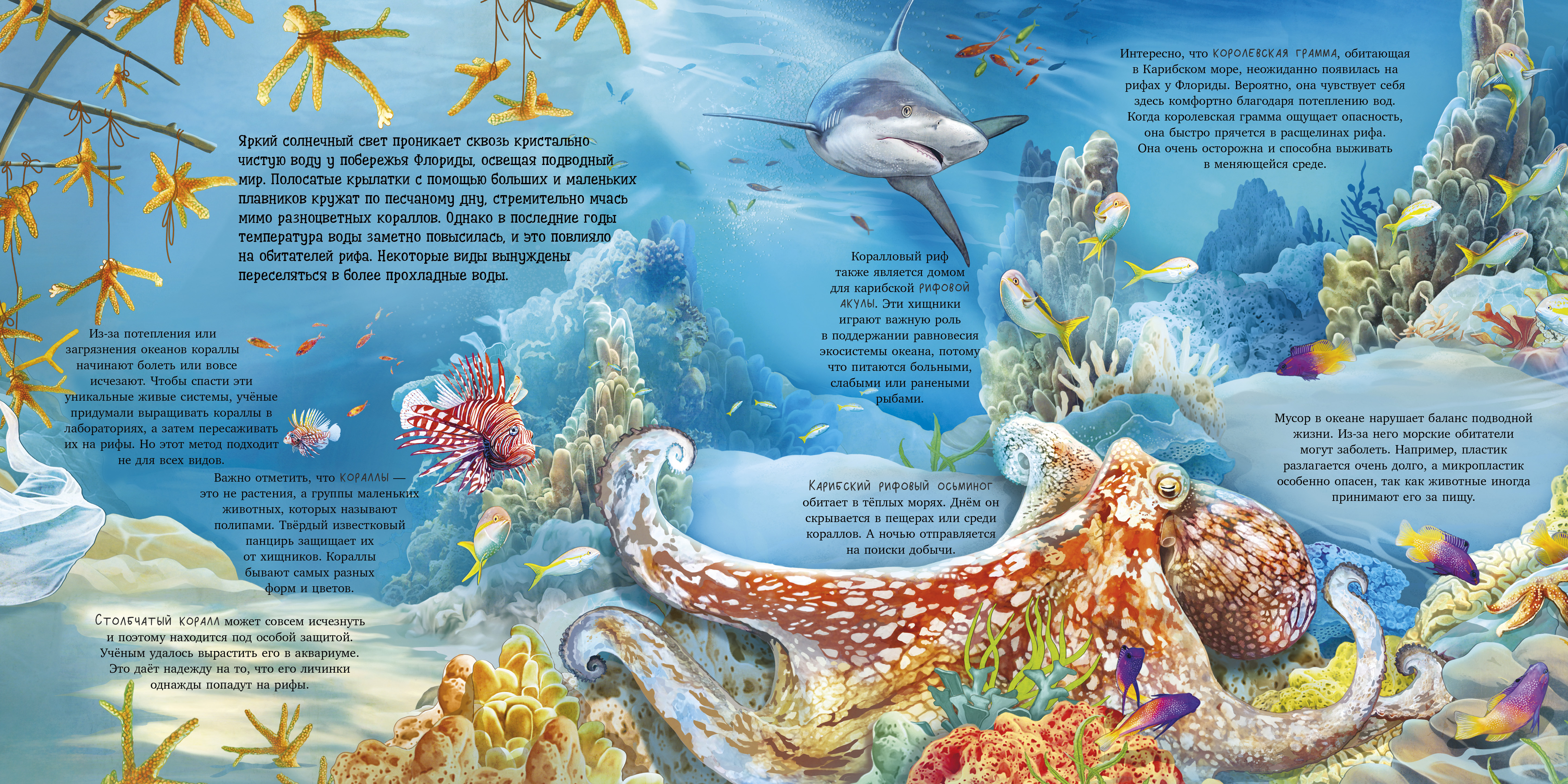 Книга Clever Удивительные животные - фото 6