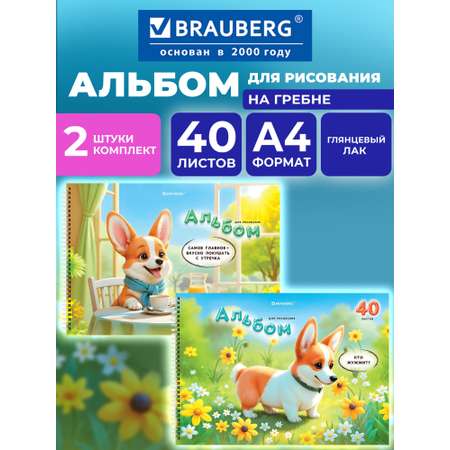 Альбом Brauberg корги А4 40 лист. 2 шт.