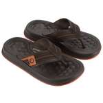 Сланцы CARTAGO