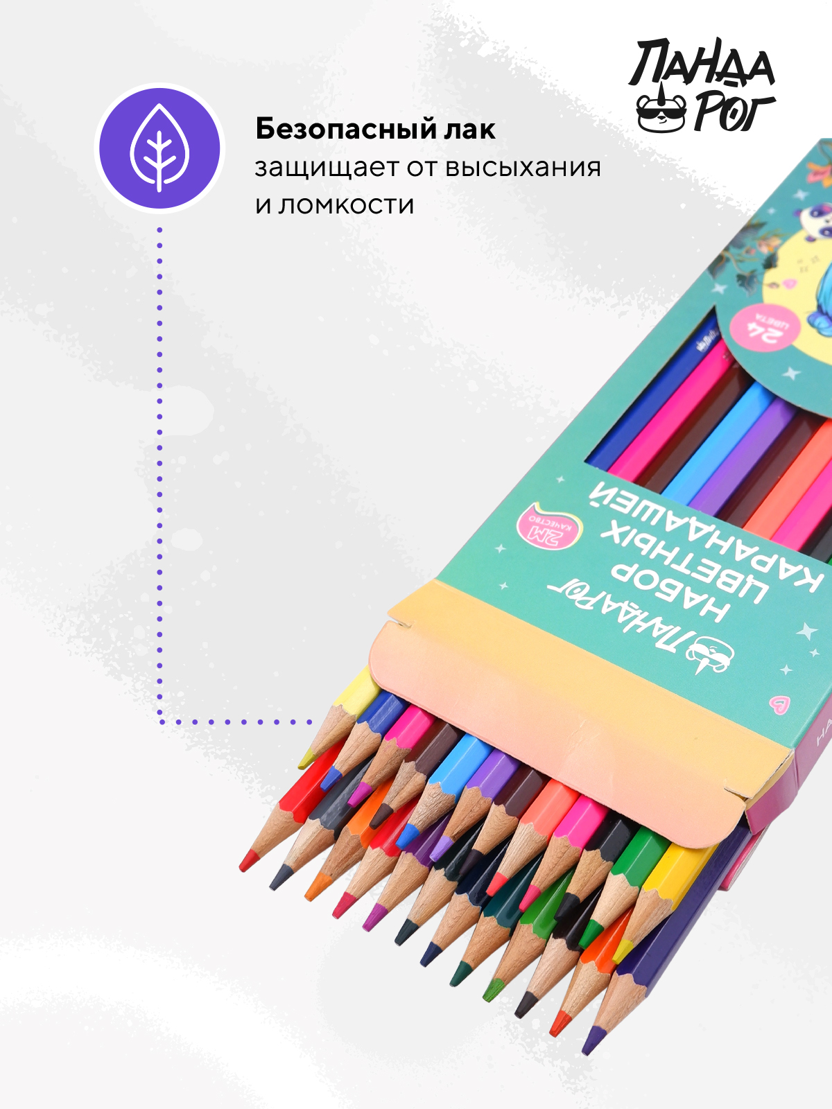 Карандаши цветные ПАНДАРОГ 24 шт. - фото 3