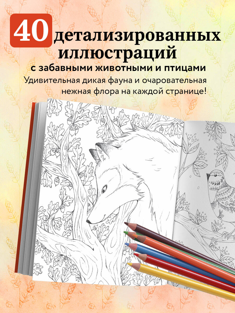 Книга БОМБОРА В объятиях природы. Раскрашиваем обаятельные иллюстрации животных и птиц - фото 2