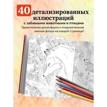 Книга БОМБОРА В объятиях природы. Раскрашиваем обаятельные иллюстрации животных и птиц