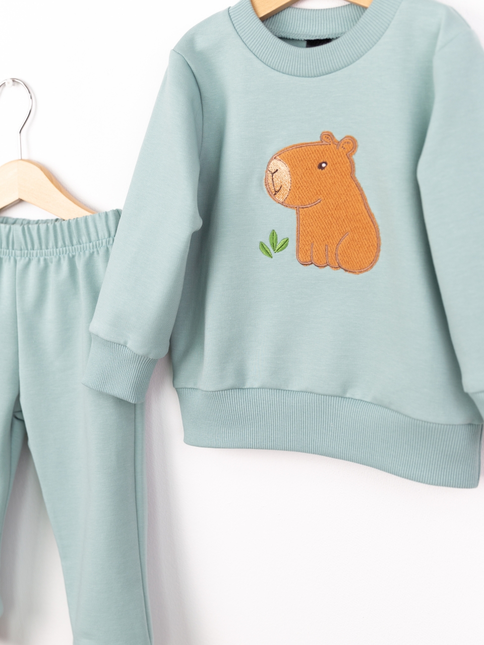 Костюм Baby boom КД568/2-Ф2 аппликация капибара мятно-голубой - фото 3
