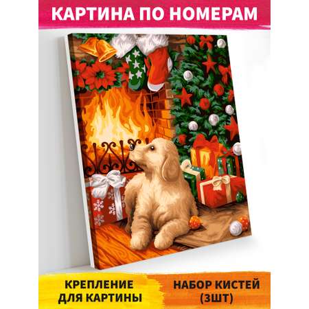 Картина по номерам Glama