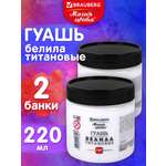 Краски гуашь Brauberg 2 цв.