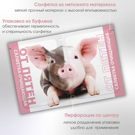 Влажные салфетки АСЕПТИКА пятновыводящие 20 шт.