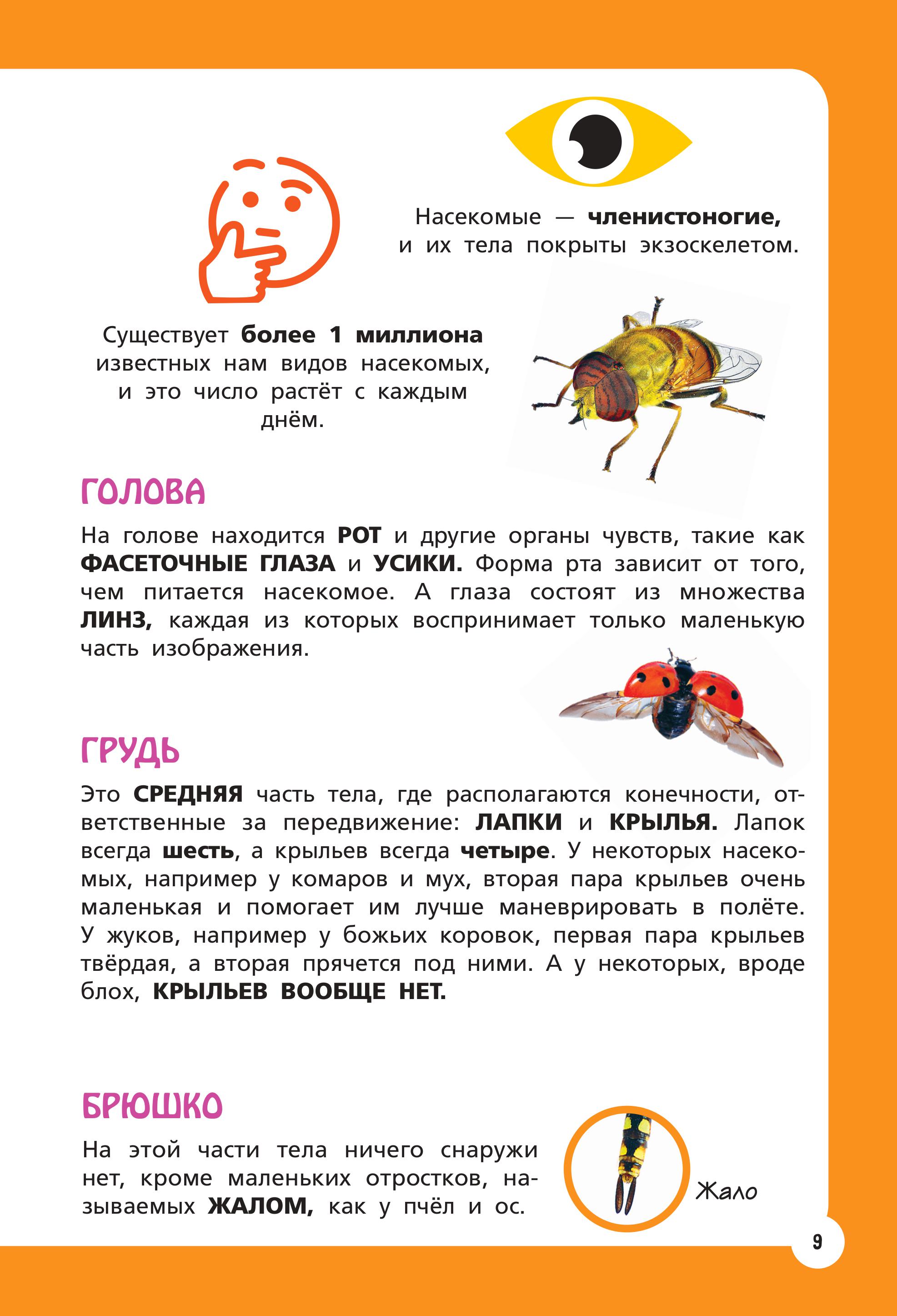 Книга Эксмо Самые необычные животные и места мира - фото 8