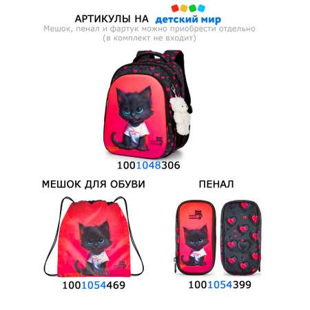 Пенал футляр School Standard