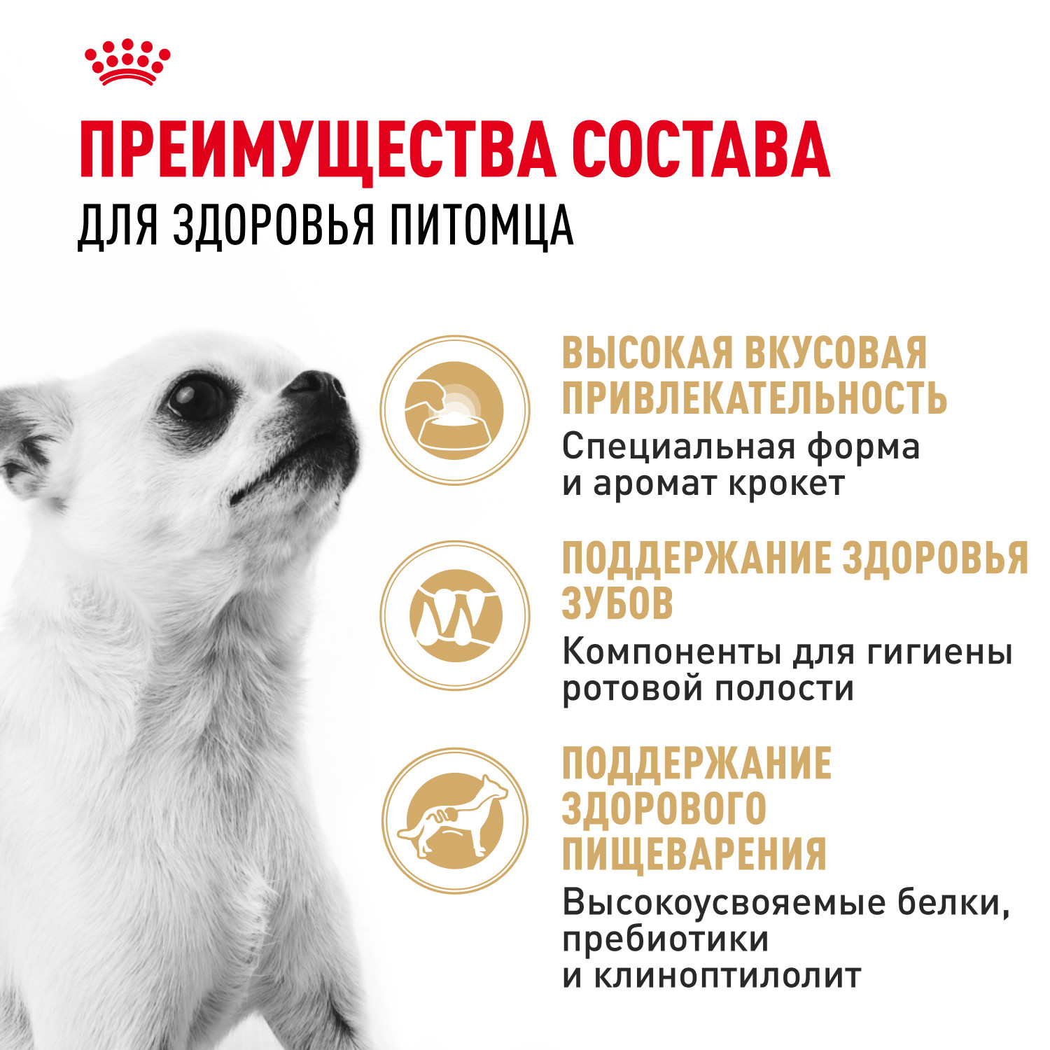 Корм для собак ROYAL CANIN породы чихуахуа 1.5кг - фото 3