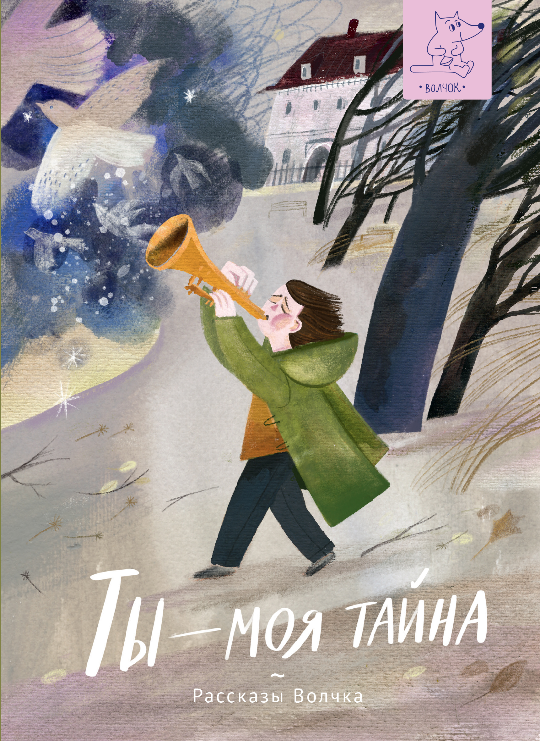 Книга Волчок Ты - моя тайна - фото 1