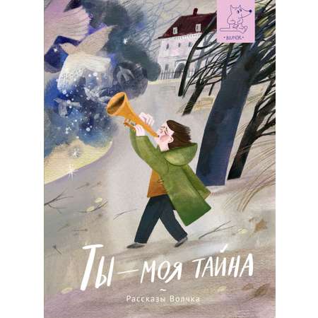 Книга Волчок Ты - моя тайна