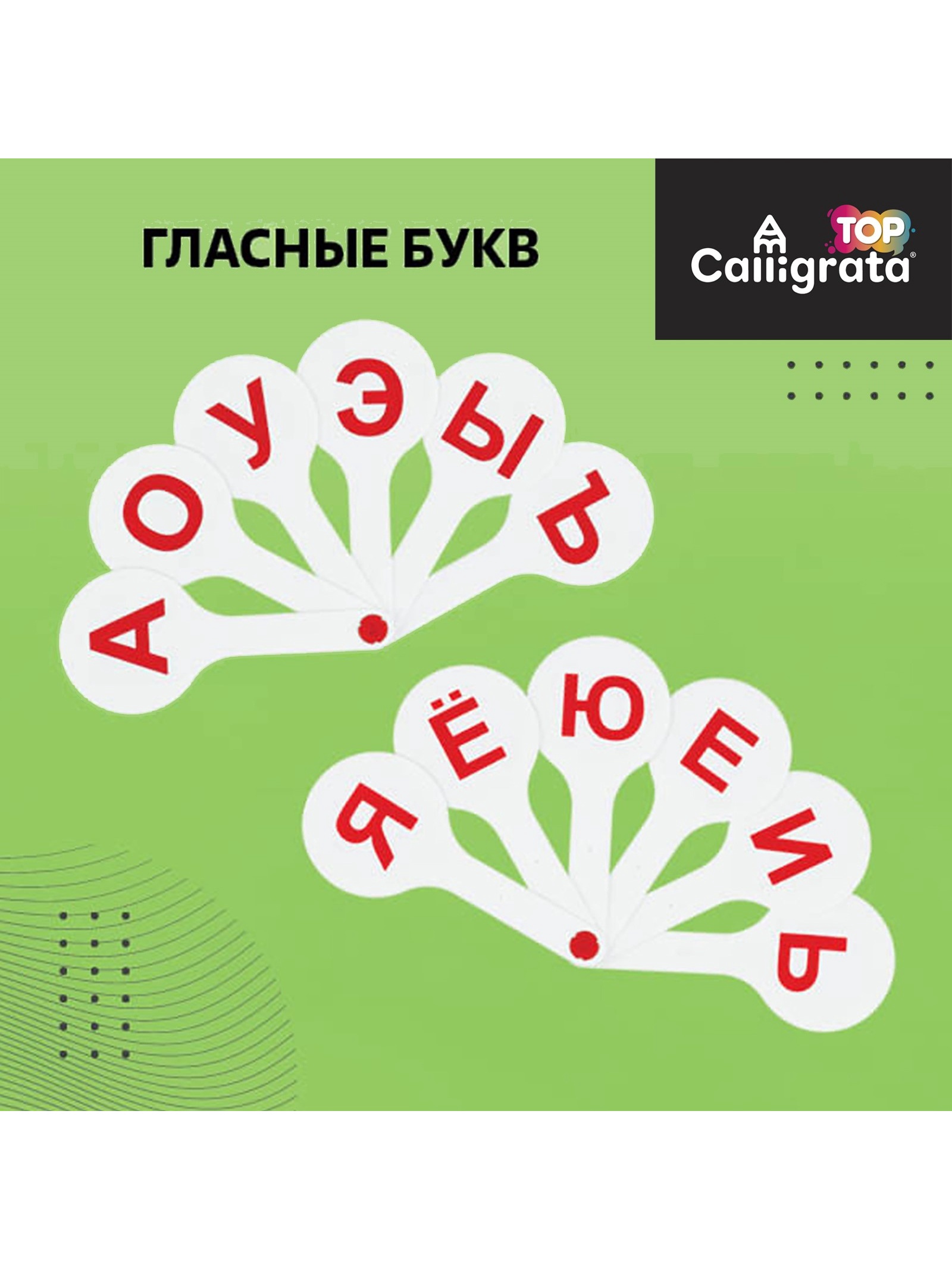 Касса-веер Calligrata - фото 4
