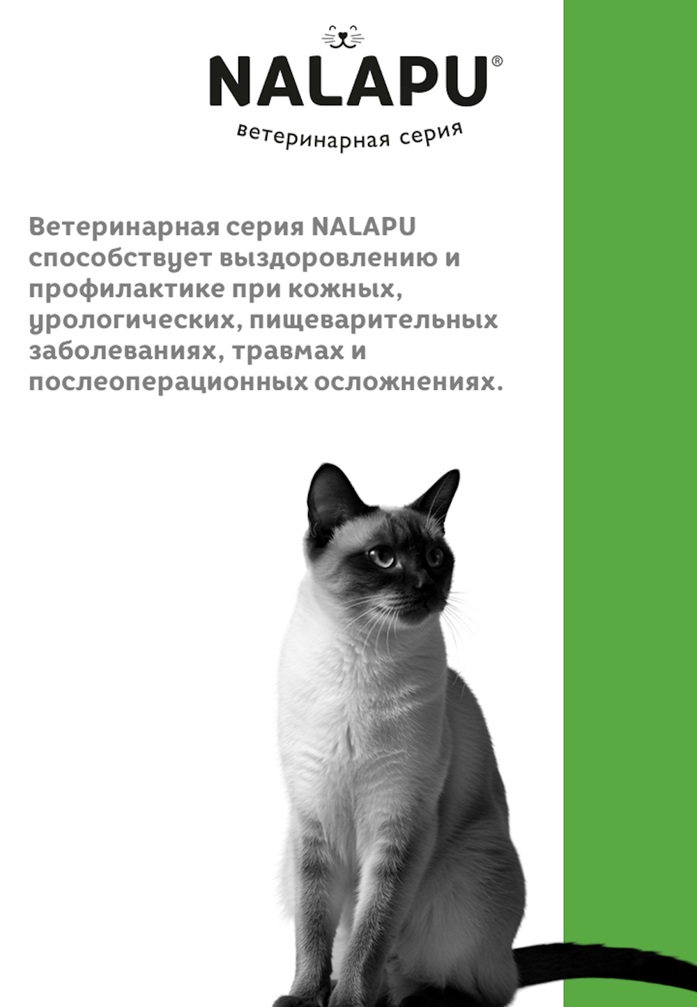 Корм для кошек NALAPU Gastrointestinal для кошек для профилактики заболеваний ЖКТ 77г - фото 4